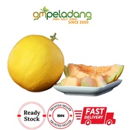 BUAH MELON MANIS TERENGGANU GRED PREMIUM (ORIGINAL)