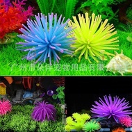 Aquarium supplies set / live sea urchin / aquarium decorations / colorful coral / soft co