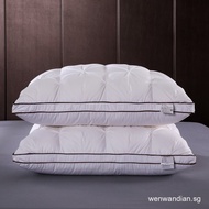 Premium Goose Feather Pillow 48x74cm Adult Pillow 100% Cotton Fabric Goose Feather Filling Hotel Pil