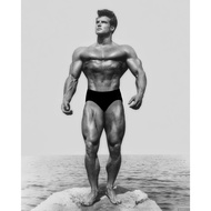 Steve Reeves Poster Print Wall Art Artwork Posters For Wall Steve Reeves Game Room Poster Canvas Art