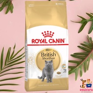 Royal Canin Adult Cat British Shorthair 4Kg - RC BSH Short Hair