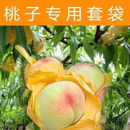【現貨】桃子專用套袋水蜜桃冬桃蟠桃黃桃專用紙袋防鳥蟲水果專用果樹套袋