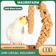 250 parrot spray millet grain natural grain ears for love birds bird feed snack Bird Toys