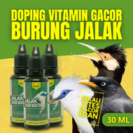 Vitamin Jalak Kebo Gacor / Vitamin Penggacor Jalak Suren Bali Putih / Doping Burung Jalak Suren Kebo