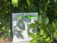 ZAGRO Anasol  ซาโกร อาหารเสริมวิตามิน แร่ธาตุสำหรับสัตว์ ใช้สำหรับ ไก่ เป็ด และสุกร  ปริมาณ 100g