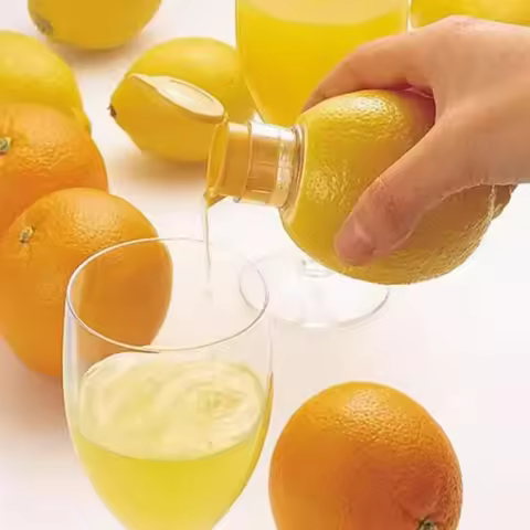 Manual Lemon Juicer Portable Mini Lemon Squeezer Citrus Juicer Reamer Hand Held Easy Juicer for Lemo