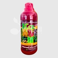 BIO KCL + SILIKA 500ml PUPUK CAIR BIO KCL + SILIKA EXPORT QUALITY STIMULANT