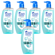head&shoulders 海倫仙度絲 台灣公司貨 去屑頭皮護理洗髮露 控油蓬鬆型  650g  5瓶