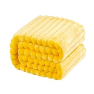 NTBAY Plush Flannel Oversized Baby Blanket, 50X60 Inches Soft and Warm Toddler Blanket with Striped 