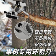 Scraper Ring Cutter Citrus Bark Lychee Tree Ring Cutter Pliers Fruit Cutter Ring Peeling Fruit Tree 