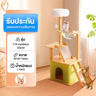 พร้อมส่ง 6in1 คอนโดแมว บ้านแมว คอนโดแมวไม้ บันไดและกล่องนอน เสาลับเล็บ ตกแต่งบ้านสวย 135-150cm