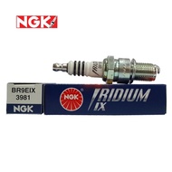 NGK Spark Plugs Br9Eix Plug