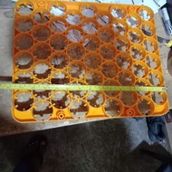 54egger Incubator egg tray 140/pc