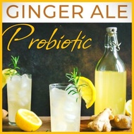 Ginger Kvass 400ml,Ginger Ale,Fermented Ginger Juice Probiotic