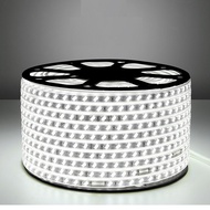 [HCM]cuộn LED dây 5730 ống nhựa 220v LOẠI 2 HÀNG CHÉO