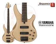 【爵士樂器】公司貨 YAMAHA TRBX605FM NATURAL SATIN 五弦 主動式 電貝斯