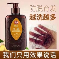 KY&amp;【Overlord】Hair Shampoo Anti-Hair Loss Dense Hair Unisex Liquid Shampoo DMLH
