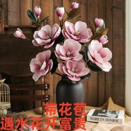 Hydroponic Plant Flowering Indoor Air Purification Office Flowers Hydroponic【New Year's Eve Magnolia