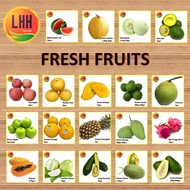 [LHH] Fresh Fruits 水果