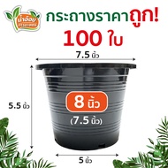 กระถางพลาสติก สีดำ 8 นิ้ว (1-100ใบ) ขนาดจริง 7.5! ราคาโรงงาน ราคาส่ง | กระถางสวย กระถางสีดำ กระถางต้