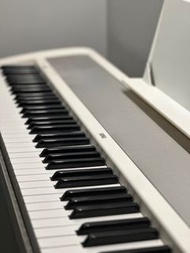 KORG B1 Digital Piano 電子琴
