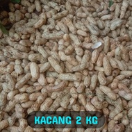 KACANG TANAH BASAH SEGAR 2 KG KACANG TANAH MENTAH