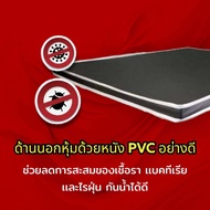 HM1 ที่นอนยางPE หุ้มหนังPVC ที่นอนนวด เบาะ ขนาด3 ฟุต/3.5 ฟุต/5 ฟุต/6ฟุต ความหนา 4 นิ้ว 🚚