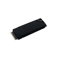 ALLONE (Aaron) PS5 new PS5-adaptive built-in M.2 SSD 1TB heat sink deployment BK ALG-P5M2SD1T manufacturer 3-year warranty