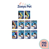 Felix Cat Pouch 70gx12pcs