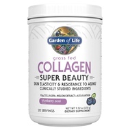 Garden of Life Grass Fed Collagen Super Beauty Powder - Blueberry Acai, 20 Servings, Collagen Powder