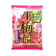 R RIBON RIBON Kishu Plum Meat Raw Plum Candy (54g) Plum Candy Plum Flavor Japanese Candy Japanese Sn
