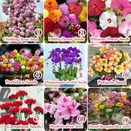 [Sale Flower Seeds] Mixed Colors 9 Kinds of Flower Seed for Planting Bonsai Plant Seed for Garden & 