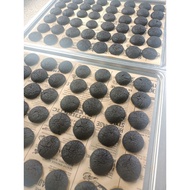 Blackout Cookies Crunchy