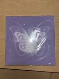 taeyeon 金泰妍 panorama LP album