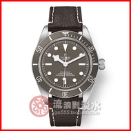 Tudor Tudor Biwan Observatory 925 Silver Mechanical Watch M79010SG-0001 M79010SG-0002