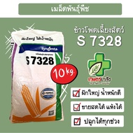 เมล็ดพันธุ์ข้าวโพดเลี้ยงสัตว์ NK7328 ขนาด 10 กิโลกรัม