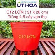 Combo of 50 RED C12 plastic pots (31x27 cm) for growing large-sized CNY marigolds