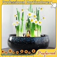 Non-perforated ceramic narcissus pot clearance sale, money plant, one-leaf lotus, bowl lotus, large 