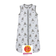 Baa Baa Sheepz Wearable Blanket 0-6m – Big Sheepz White