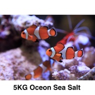 Aquarium Sea Salt 5KG AQUARIUM SYSTEM OCEAN SEA SALT - 5kg