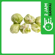 Lettuce Head Ekonomis  (300 - 400 gram / pack)