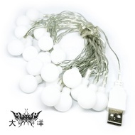 Christmas Light Bulb Type Ball LED String Lights 3m 20 6m 40 10m 80 USB Warm White Color DY007B