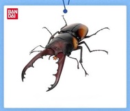 萬代扭蛋 生物大圖鑒鍬形蟲第11彈 薩維奇鋸鍬