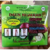 DAUN MUJARAB | Asam Urat Pengapuran | DAUN DEWA plus [ Isi : 15 sachet @ 7 gram ]