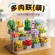 [1016People Collection]Fer Healing Succulent Eternal Flower Plant Ornament for Men and Women Educati
