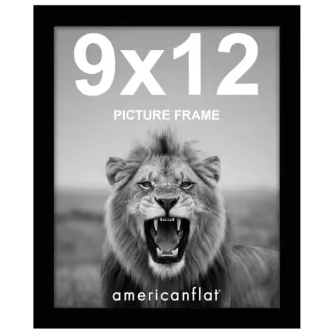 9x12 Picture Frame with Shatter-Resistant Glass - Signature Collection - Gallery-Style Frames Made o