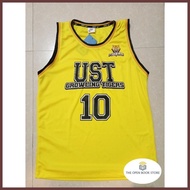 ∜ ▐ CITW JERSEY (SEVI JERSEY UST 10)