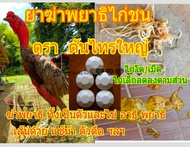 ยาฆ่ากำจัดพยาธิไก่ชนตราต้นไทรใหญ่ ฆ่าพยาธิได้ทั้งตัวและไข่ไม่ทำให้ไก่ท้องเสีย