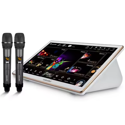 2025 InAndOn KTV Karaoke System with Wireless Microphone, 18.5 Inch Capacitive Touch Screen 650K Clo