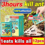 💎𝙎𝙂 𝙨𝙩𝙤𝙘𝙠💎𝟭𝟮𝗽𝗰𝘀/𝗯𝗼𝘅 Ant killer powder Termite powder Ants repellent Termite Ant killer bait Termite 